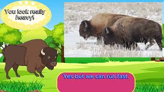 Meet the Animals | The Mighty Grazers of the Plains | American Bison 🦬🦬