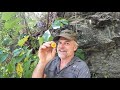 Short River Exploration And Search : Persimmon Tasting