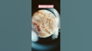 This is What you take off from banana | Banana peel under microscope | #shorts #banana #science