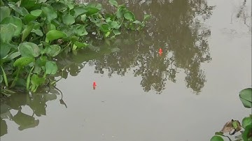 câu cá sông ngày xả đập lên cá đã tay