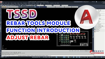 TSSD Software：Fast, Batch, Automatic Adjust Rebar in AUTOCAD(part 21)#tutorial