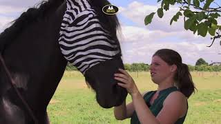 Hofman | Fly Mask Zebra