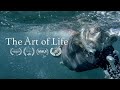The Art of Life image