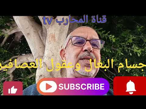 أجسام البغال وعقول العصافير سياسة الكراغلة