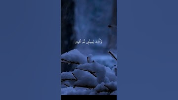 أنتم وآباؤكم الأقدمون فإنهم عدو لي إلا رب العالمين//القارئ يوسف الصقير