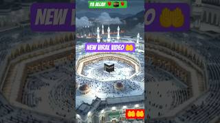 Allah Hu Allah Hu 🤲🏼#video
