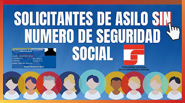 ¿Puede un solicitante de asilo obtener una tarjeta de la Seguridad Social?