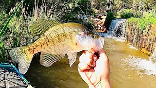 CRAPPIE FISHING A STUNNING WATERFALL LOADED WITH CRAPPIE ON EVERY CAST‼