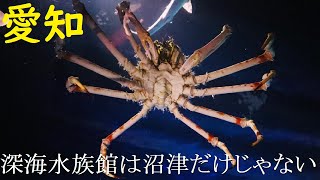 【愛知】侮ることなかれ！蒲郡の竹島水族館に行ってきた！【人気観光スポット】