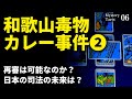 【冤罪疑惑】和歌山毒物カレー事件を占う②／再審は可能なのか？【ミステリータロット06】