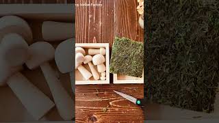DIY Wood Mushroom Toys and Moss Play Box #woodtoys #waldorf @woodpeckerscrafts  #mushrooms