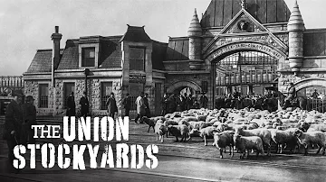 The Union Stockyards — A Chicago Stories Documentary