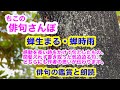 【俳句さんぽ・第24回】蝉生まる・蝉時雨（夏の季語）感動を長い時をかけて句としたもの。間髪入れず書きとったもの。どちらも先者の熱い思いが伝わってきます。#俳句 #俳句鑑賞 #俳句朗読