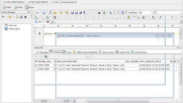 Informatica MDM 10.1 Create ORS  | Informatica MDM Tutorial