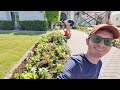 Planting up clients flower bed for late summer + fall color!