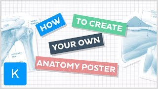How to create your own Human anatomy poster | Kenhub
