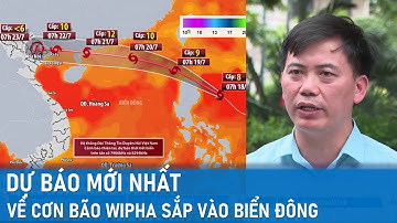 Dự báo mới nhất về cơn bão Wipha sắp vào Biển Đông | VTVWDB