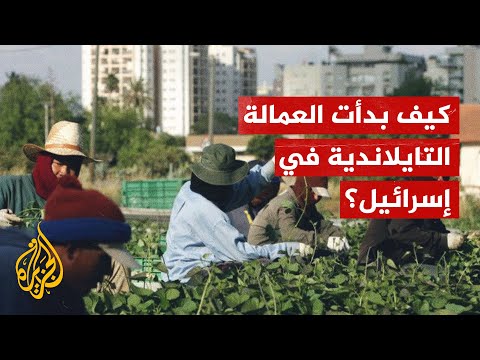 لماذا يوجد عمال من تايلاند في إسرائيل؟