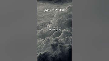 القارئ: محمد احمد عقيل ﴿وَقَالَ ٱلشَّيْطَٰنُ لَمَّا قُضِىَ ٱلْأَمْرُ﴾