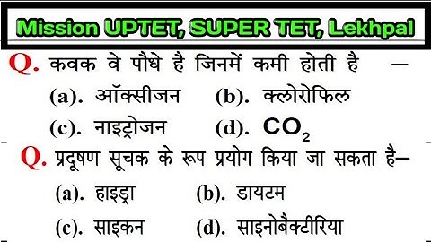 UPTET 2021 || Super TET EVS Important Questions || Super TET || UP LEKHPAL || SSC || RRB || UPPET