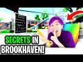 Can We Reveal ALL BROOKHAVEN SECRET PLACES!? (BROOKHAVEN RP SECRETS!)