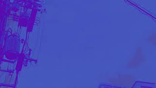 Dreams of a Nocturnal Poison