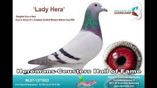Heremans Ceusters  Hall of Fame- Pigeon