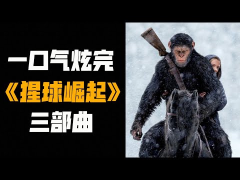 爾文棺材板壓不住了！| 一口氣炫完《猩球崛起》三部曲