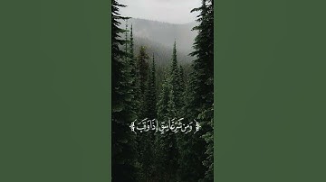 #سورة_الفلق بصوت القارئ #احمد_العجمي#islamy#اكسبلور#القرآن_الكريم