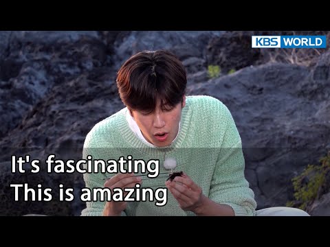 It's fascinating. This is amazing [Two Days and One Night 4 : Ep.129-6] | KBS WORLD TV 22061