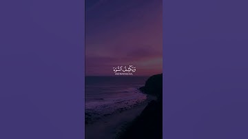 القارئ ياسر الدوسري || #قرآن #yasseraldossary #ياسر_الدوسري #اجر_لي_ولك