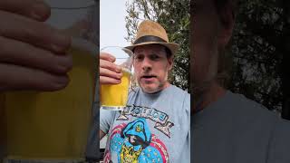 ITALIAN PILSNER #beerlife #craftbeerreview #beer #craftbeer #beerreview #review #brewedition