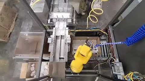 Hamrick Packaging Systems - Robotic Case Packer for Cups (HD)
