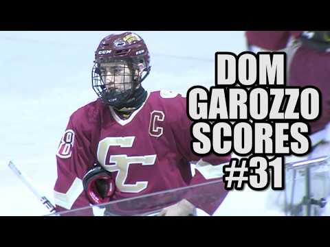 Ice Hockey Player of the Year: Gloucester Catholic's Domenic Garozzo - The  Sun Newspapers