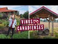 VINOS CANADIENSES 🍷 | Cata de Vinos en el Viñedo del Director de TITANIC en la ISLA DE VANCOUVER