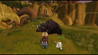 Nesingwary Safari | Clefthoof Mastery Part One | BM Hunter (Classic TBC)