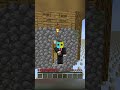 Minecraft, But Every Block Is a Turtle Egg…