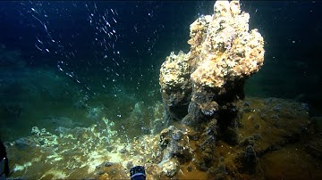 Multibeam Mapping with Clara Smart & Nicole Raineault | Nautilus Live