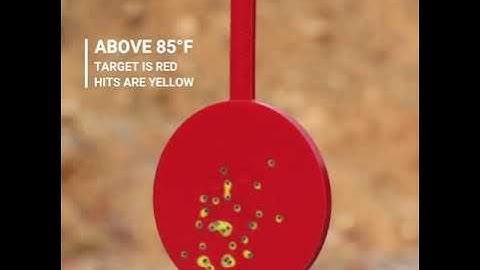 Double Action Targets | How they work and what to expect!