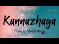 Kannazhaga lyrics  3  anirudhofficial x dhanush x shruthi  tamil