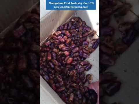 Sayer Dates Pitting And Slicing Dates Seeds Removing Machine Youtube Sayer Dates Pitting And Slicing Dates Seeds Removing Machine Youtube
