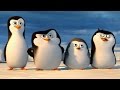 夢工廠動畫 馬達加斯加爆走企鵝 企鵝之南極紀錄片 台灣 