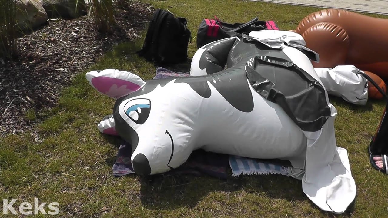 Dragon popping. Puffypaws Wolf. Inflatable Puffypaws Husky. Надувной дракон Puffypaws. Inflatable Wolf merek.