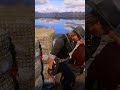 red dead redemption 2 gameplay #short