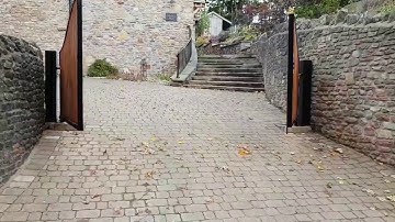 Electric Swing Gates