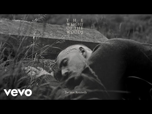 Dermot Kennedy - Turnstile (Acoustic) [Official Audio]