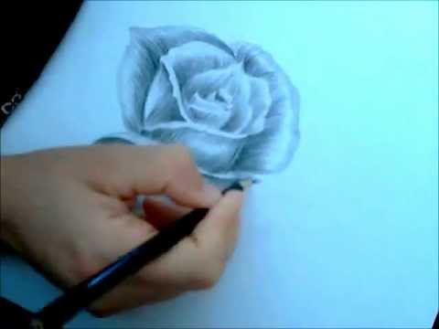 Come Disegnare Una Rosa Con La Matita Corso Per Principianti Wie Zeichnet Man Eine Rose