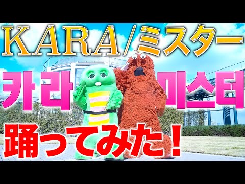 【카라 - 미스터】おかえり！ＫＡＲＡ『ミスター』全力で踊ってみた！歌ってみた！！