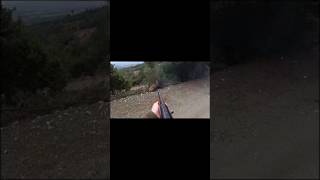 Лучшее снаряжение для охоты на дикого кабана #охота #охотанакабана #дикоеживотное #советыохотникам