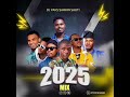 M Zakir Niger Mix And Others M Zakir Niger Mix And Others
